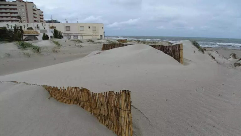 Avanza la restauración de dunas en La Manga para combatir especies invasoras y la erosión.
