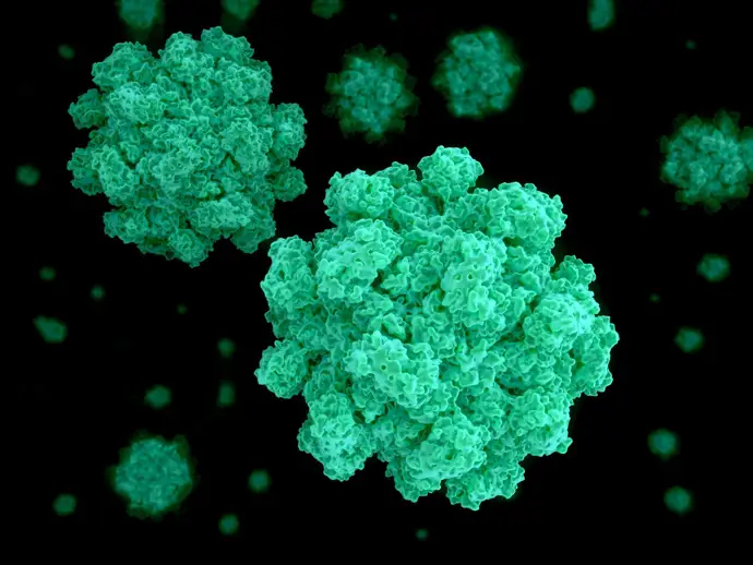 nueva variante de norovirus sería la causa del incremento de brotes de gastroenteritis globalmente