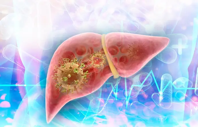 Hepatitis C: prueba que entrega resultados en 15 minutos
