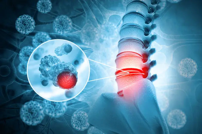 Científicos encuentran que algunas células cerebrales pueden contribuir a la reparación de la