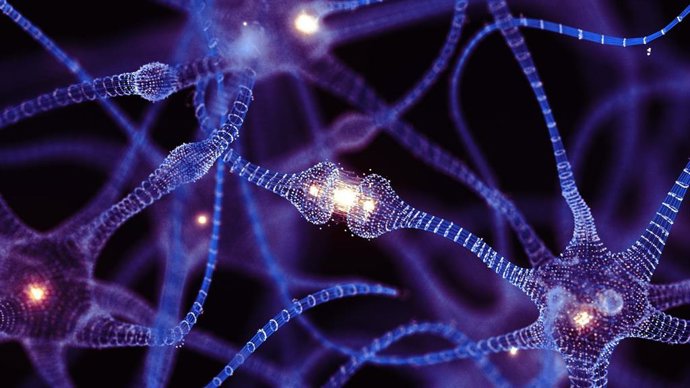 Archivo - Una red neuronal artificial es un grupo interconectado de nodos similar a la vasta red de neuronas en un cerebro biol&oacute;gico.