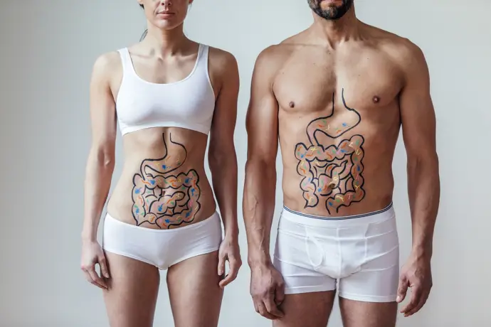 Relación entre los hongos intestinales y diversas enfermedades en el organismo humano