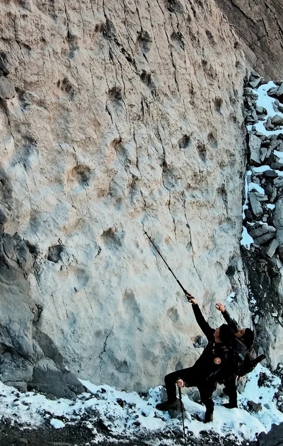 En el Parque Nacional de Stelvio, en los Dolomitas italianos, se ha descubierto lo que todos llaman ya el &ldquo;valle de los dinosaurios&rdquo;