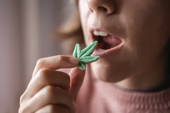Cannabis para el dolor crónico: hallazgos recientes sobre THC, CBD y sus posibles riesgos