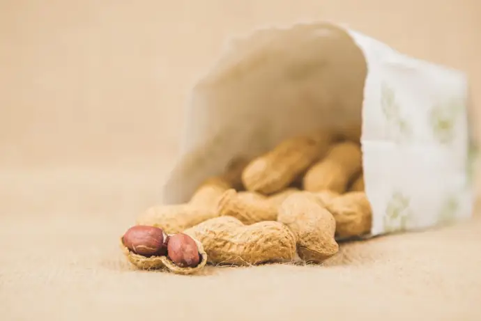 Treinta gramos pueden transformar la vida de los niños con alergia al cacahuete.