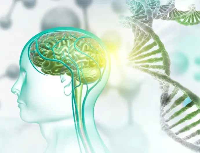 Detectan cambios importantes en la corteza cerebral de individuos con psicosis