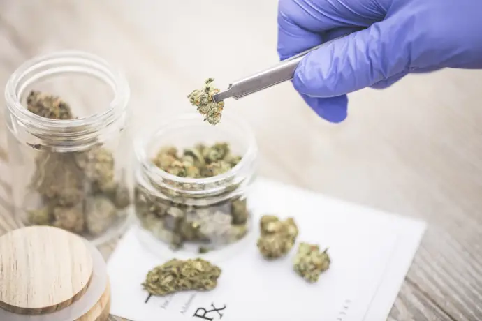 Sanidad comienza la inscripción en el registro de preparados de cannabis medicinal