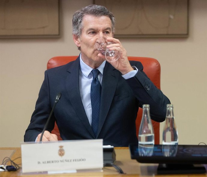 El presidente de PP, Alberto N&uacute;&ntilde;ez Feij&oacute;o.