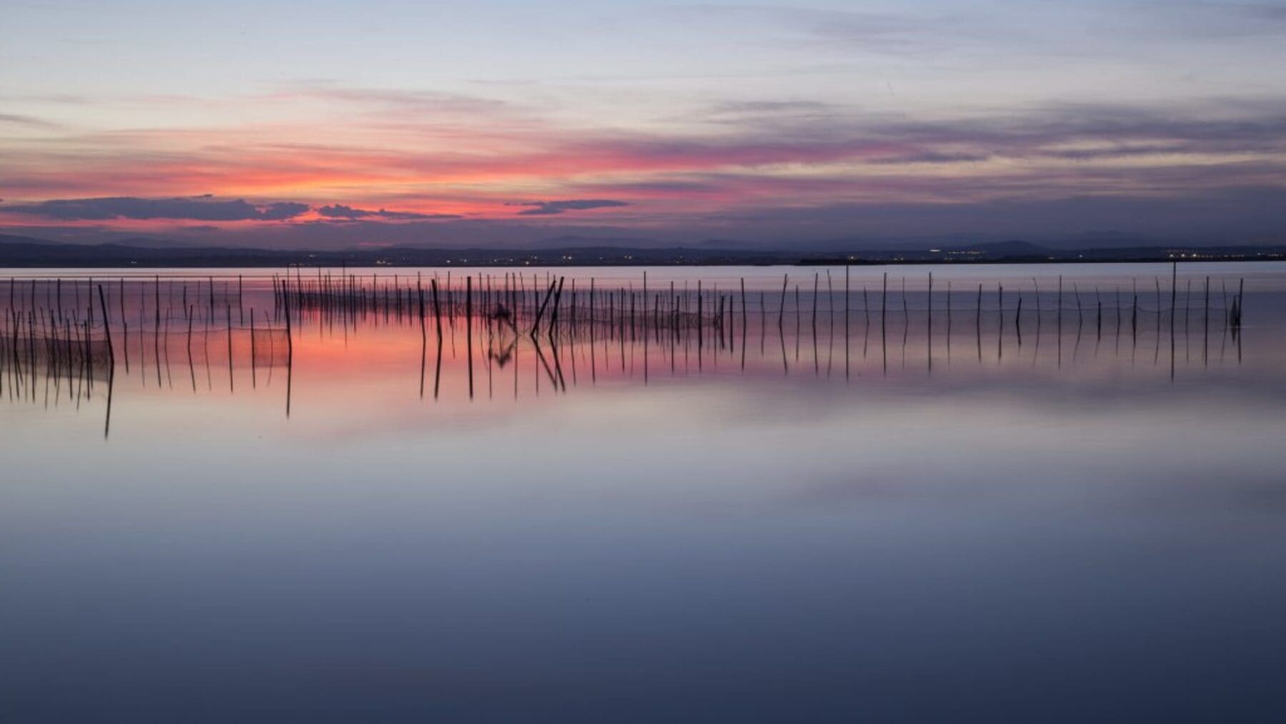 Avances en la restauración del humedal de L'Albufera tras la DANA