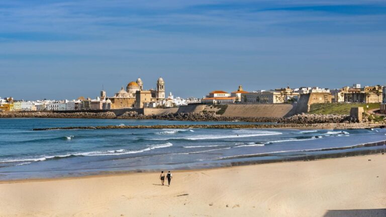 Ayudas históricas a playas de Cádiz por la proliferación de Rugulopteryx okamurae