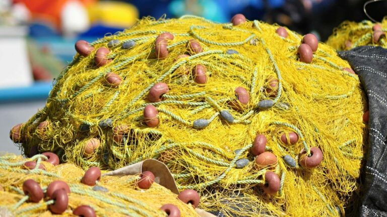 La pesca ilegal en Marruecos pone en riesgo el mar de Alborán