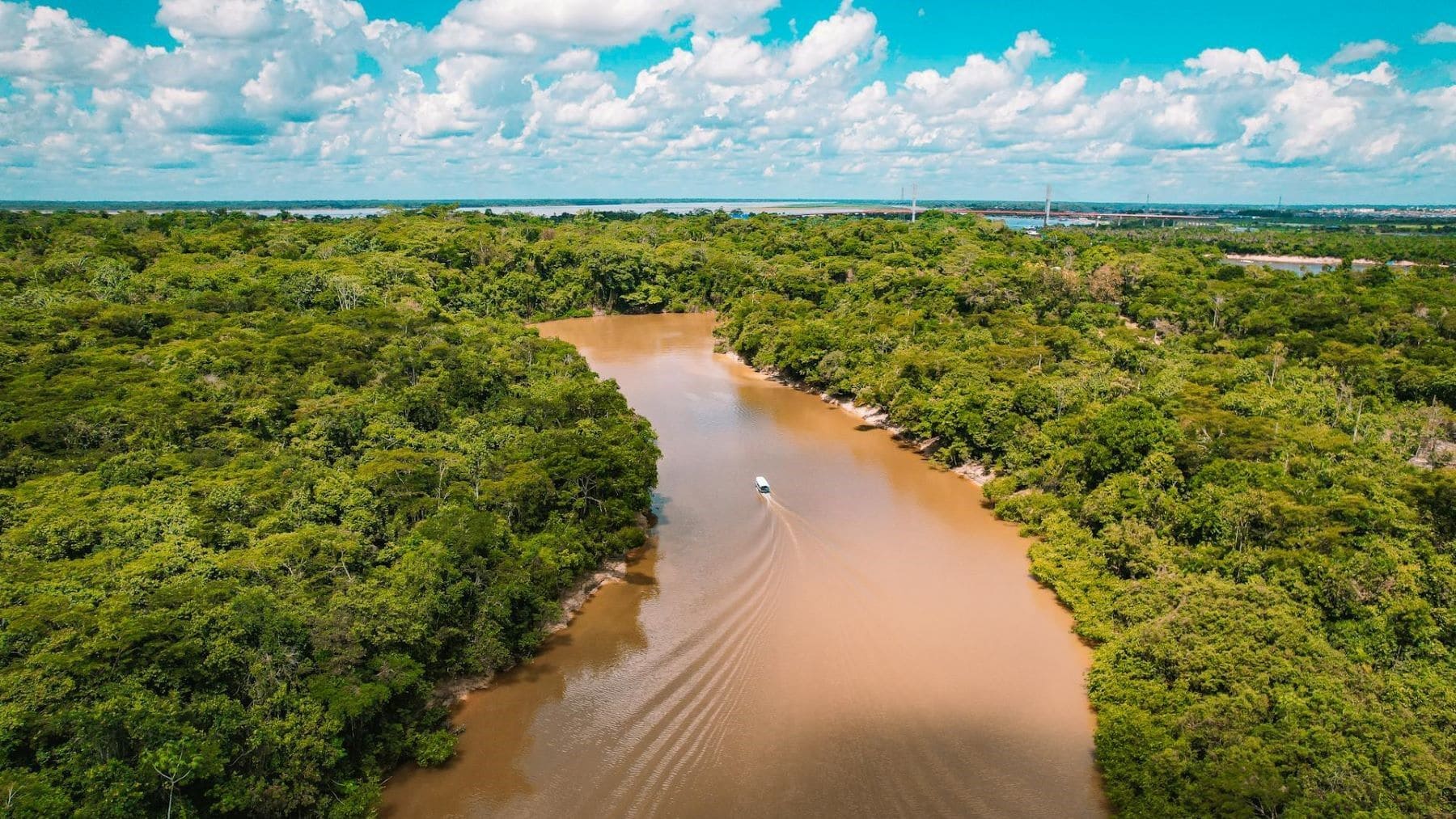La Amazonía peruana adoptará alertas contra la deforestación con apoyo de comunidades indígenas