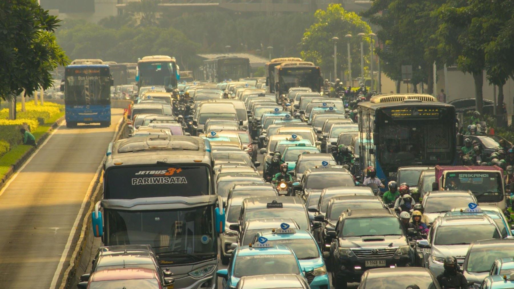 Impacto de la contaminación en el aumento de grasa y la disminución de masa muscular