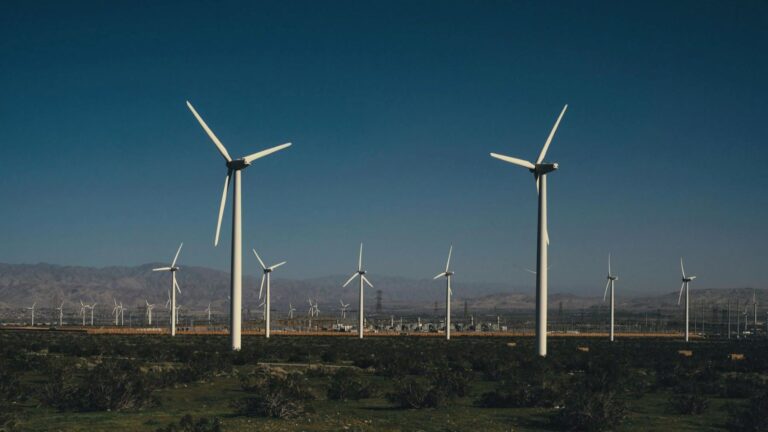 La crisis energética en Europa impulsa el desarrollo de energías renovables y redes eléctricas