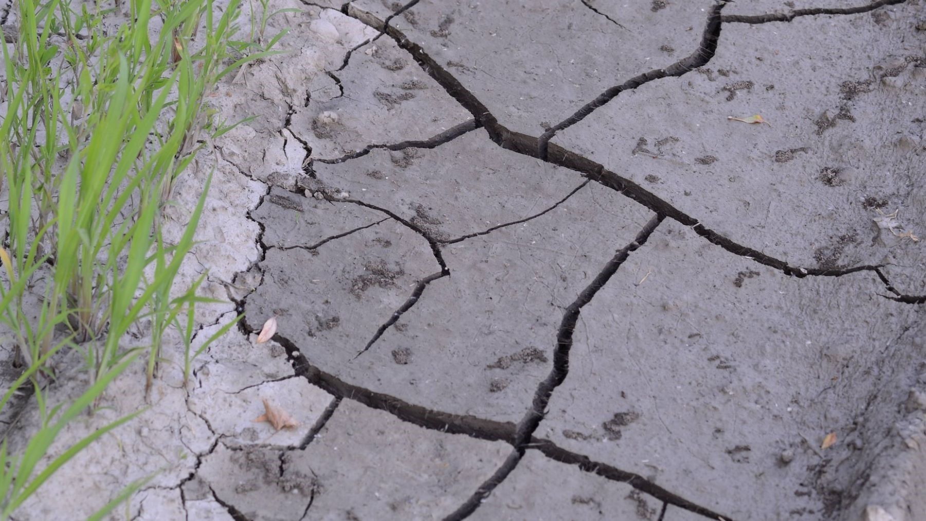 La financiación climática global se desaceleró en 2024