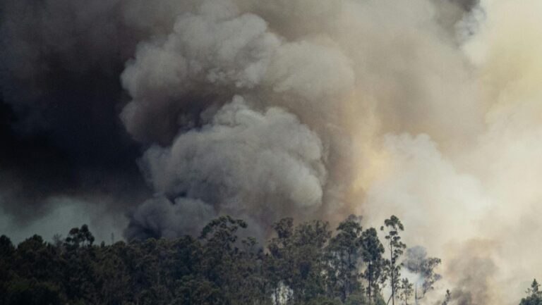Cambio climático en España 2025: un año histórico de olas de calor e incendios sin precedentes