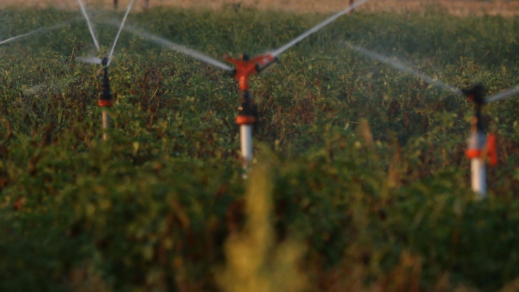 Reutilización del agua tratada en Ibiza: estadísticas preocupantes