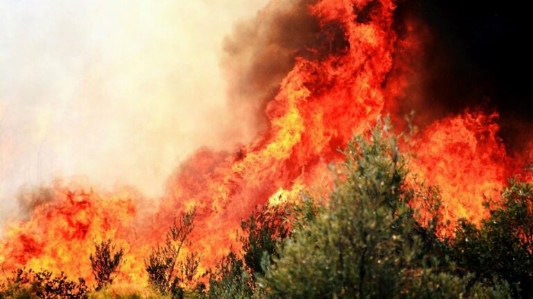 Aumento del riesgo de incendios por El Niño activa alertas a nivel global