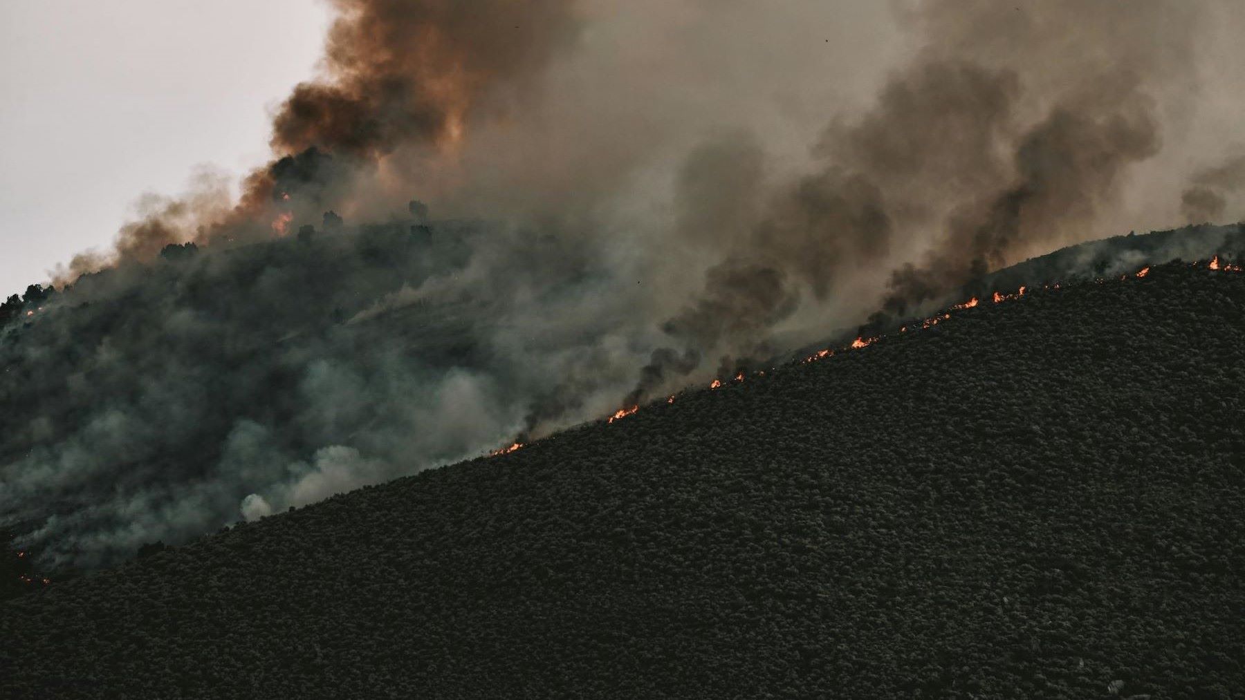 Tenerife destina 7 millones para mejorar la prevención de incendios tras el gran fuego de 2023