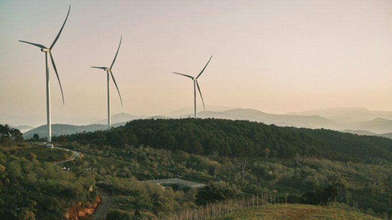 La aceptación social y territorial de las energías renovables es fundamental para su éxito