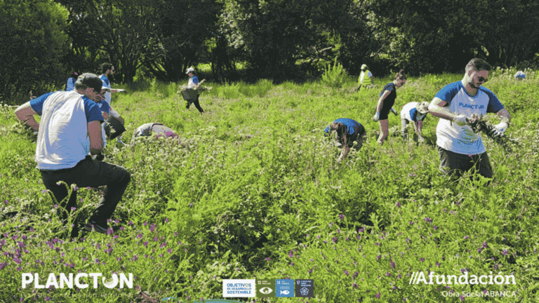 Voluntarios retiran una planta invasora y toneladas de basura en la isla de Ons, Galicia