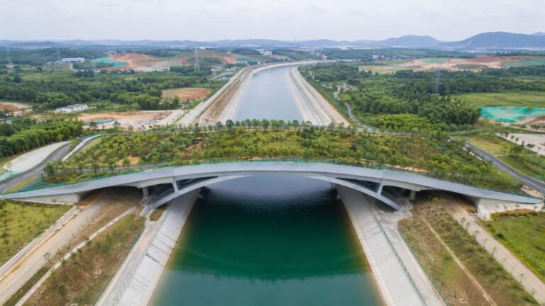 China lanza un puente verde de 240 metros para proteger la fauna silvestre en las ciudades modernas