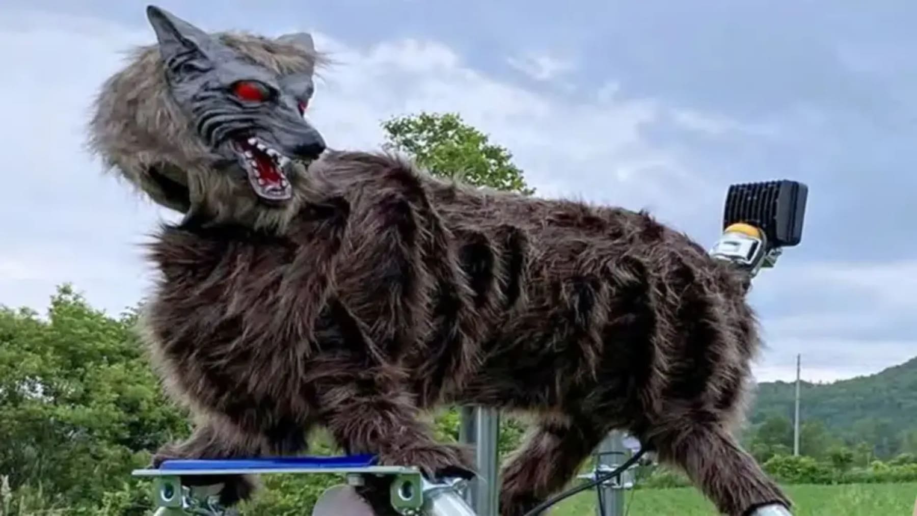 El lobo robot que asusta a los osos causa sensación en Japón