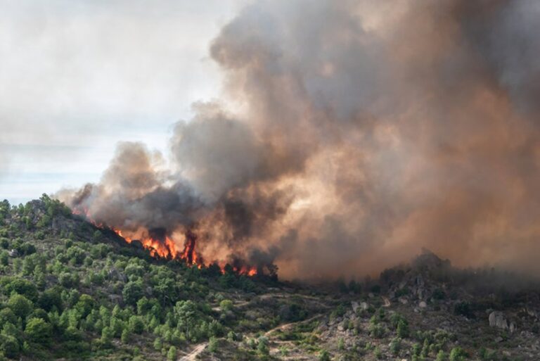 El humo de incendios forestales vinculado a varios tipos de cáncer