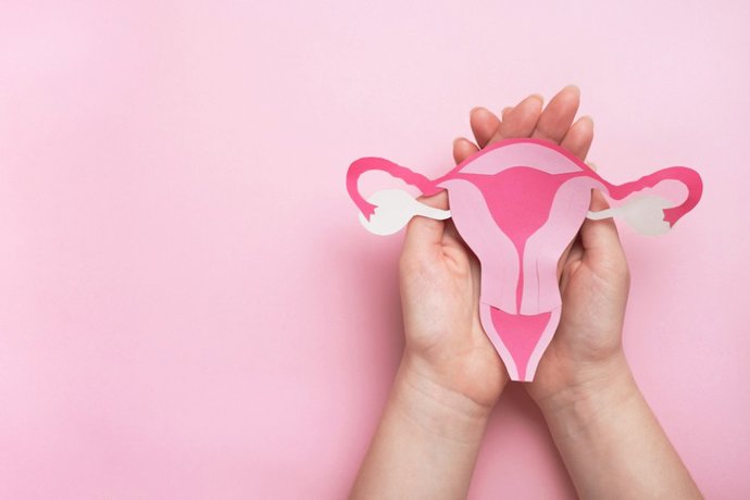 Archivo - &Uacute;tero, ovarios. Concepto de salud de la mujer, ginecolog&iacute;a y sistema reproductivo