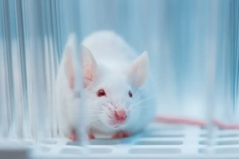 Un nuevo enfoque contra el dolor neuropático reduce la sensibilidad en ratones al bloquear una