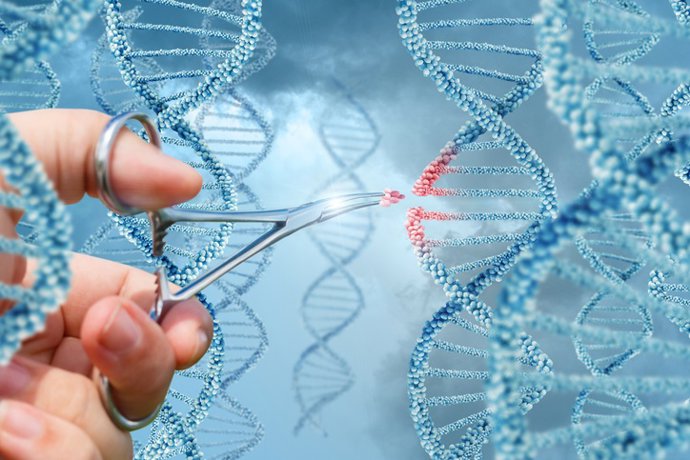 Archivo - CRISPR, edici&oacute;n gen&eacute;tica