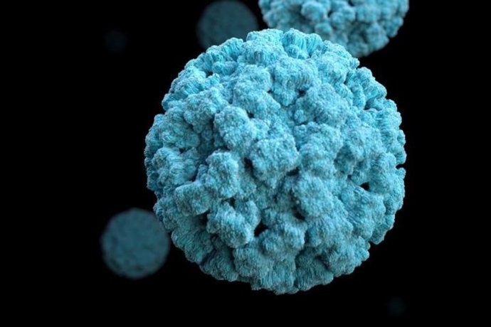 Sanidad asegura no tener información sobre españoles en el crucero con brote de norovirus