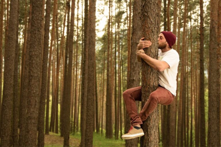 cómo la naturaleza contribuye al bienestar emocional y la calma mental