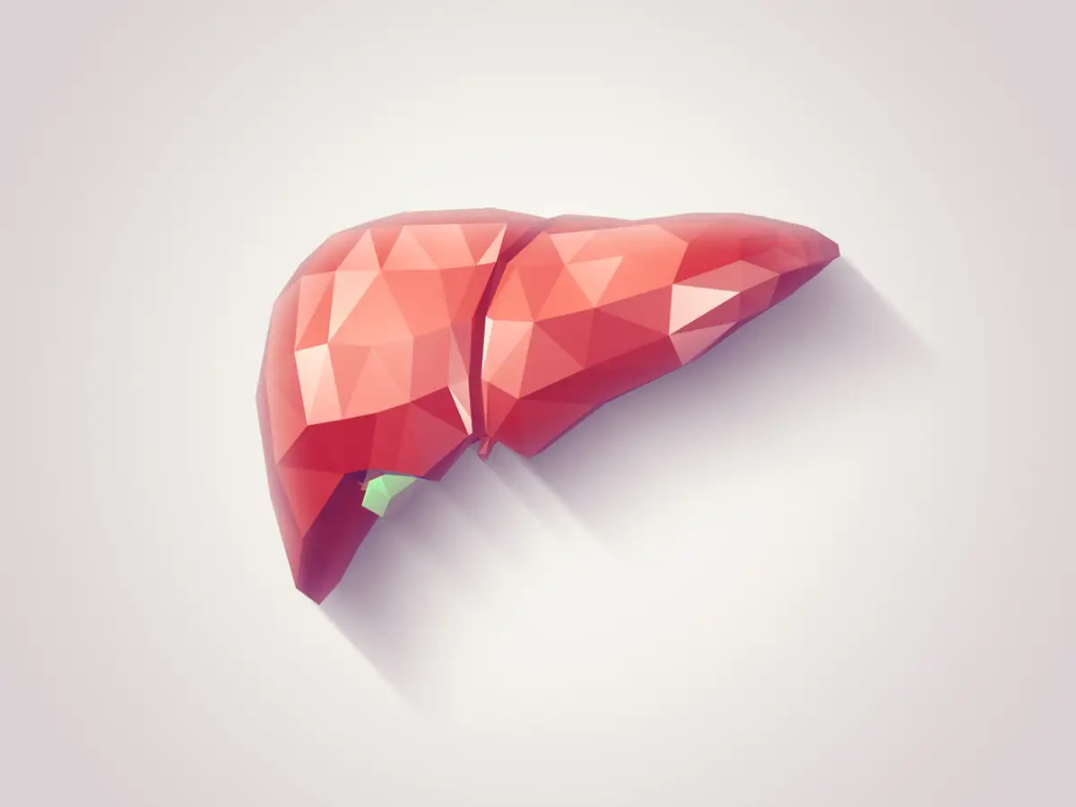 Hígado graso y su relación con el riesgo cardíaco y la inestabilidad arterial
