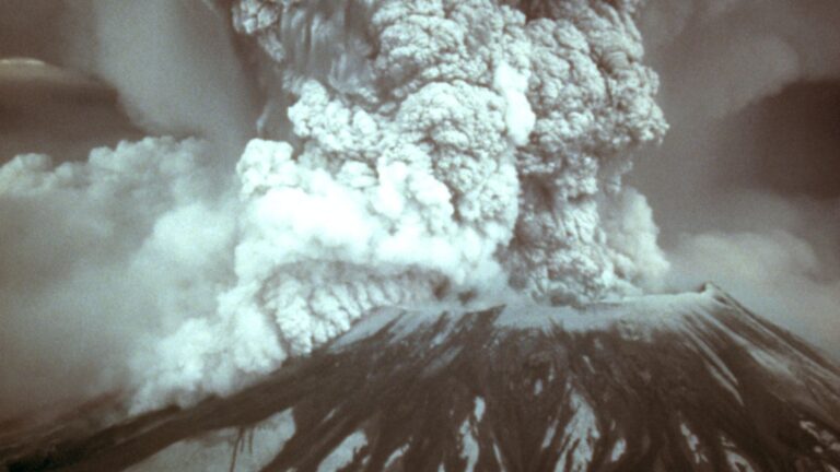 Los gophers que revitalizaron el suelo tras la erupción del Mount St Helens