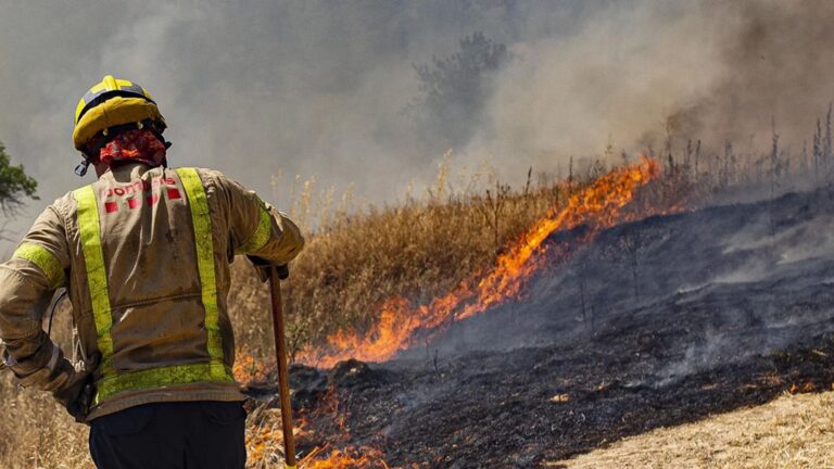 El ozono, un contaminante escondido tras los incendios forestales que provoca miles de muertes
