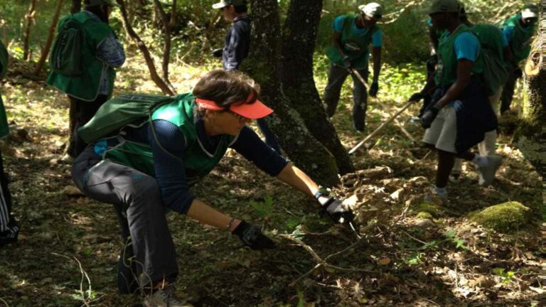 Prevención de incendios forestales: IMAGIN establece barreras protectoras en áreas vulnerables