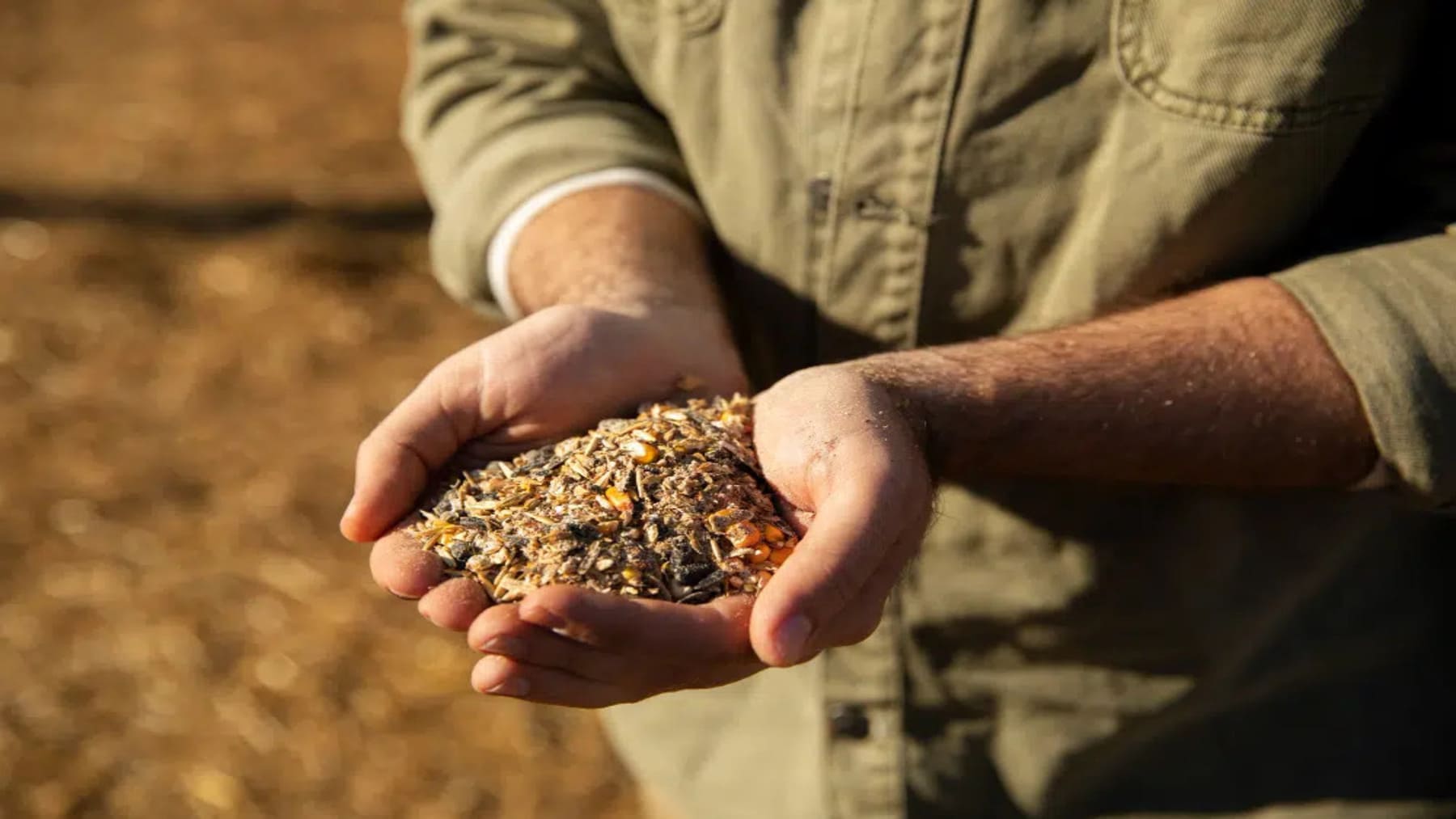 Un proyecto europeo impulsa la economía circular con cerveza y alimentos sostenibles de residuos