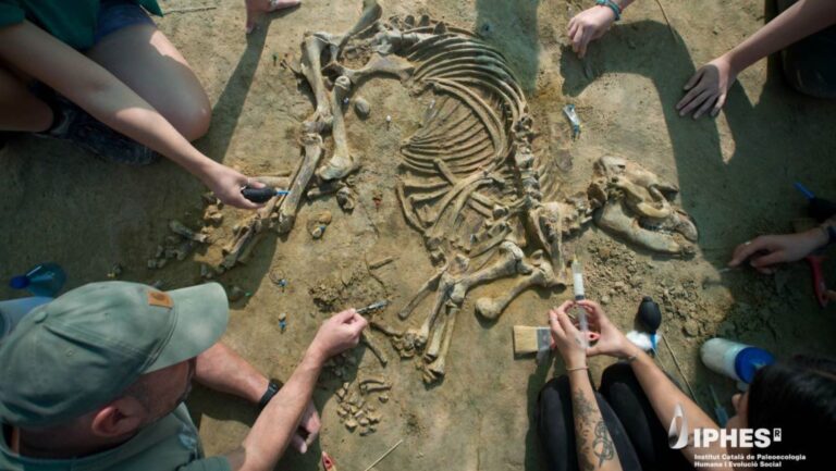la cría de tapir muestra una prehistoria intacta tras cuatro millones de años