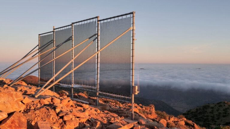 Marruecos enseña a España: mujeres utilizan redes gigantes para transformar niebla en agua potable