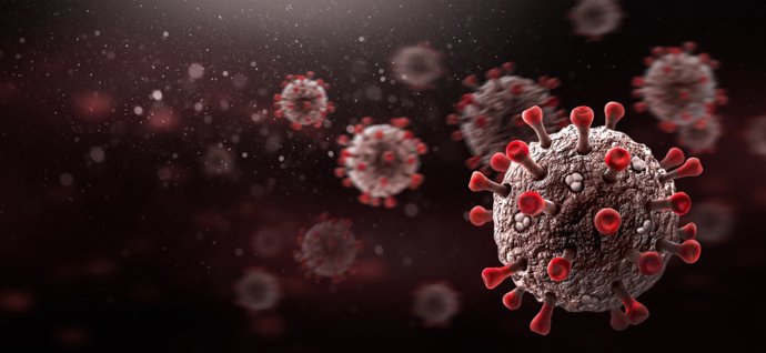 VIH/ Virus