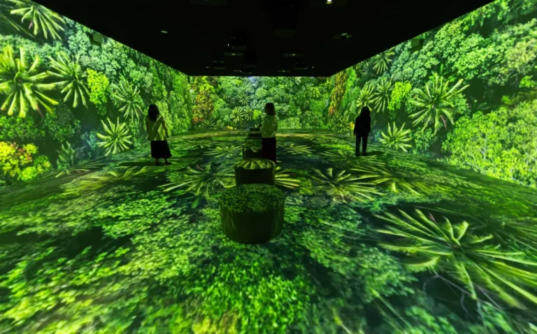CaixaForum Madrid presenta 'Somos Naturaleza', una experiencia inmersiva para reconectar con el