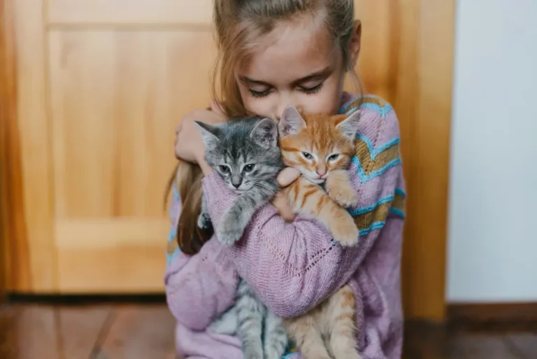 Gatos y niños: la verdad sobre asma y alergias en el hogar