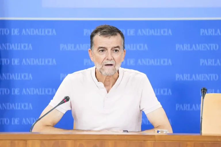 Responsabilidades por informe de Ceuta: IU menciona ceses y critica a Marlaska y al director de la