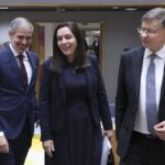 Varios socios critican a España por relacionar la oficialidad catalana con la ampliación del