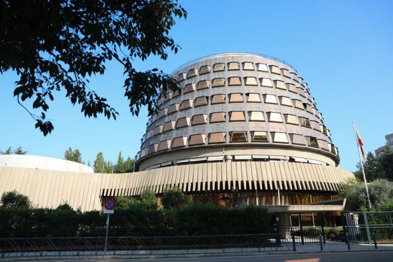 El TC considera prematuro el recurso del Defensor del Pueblo sobre la 'ley de nietos'